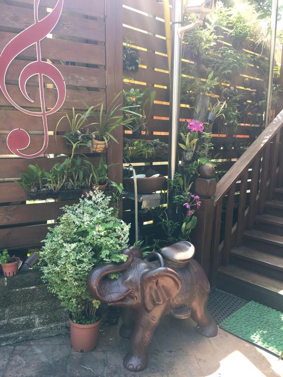 Music House Homestay 南庄郷 エクステリア 写真